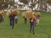 McLeods Daughters